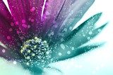 Inspirations florales - Gamme de couleurs