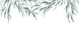 Branches artistiques en vert aquarelle
