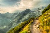 Chemin montagneux sous ciel voilé