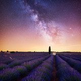 Ciel étoilé sur champ de lavande
