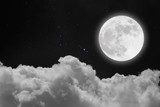 Clair de Lune Éblouissant
