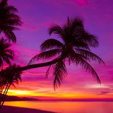 Crépuscule tropical enflammé