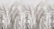 Danse aérienne de plumes blanches