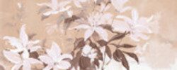 Douceur florale en aquarelle