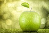 Douceur matinale en vert