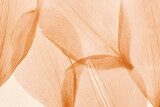 Échos organiques en beige orangé