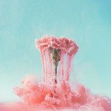 Élégance éphémère en nuances pastel