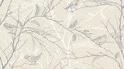 Élégance épurée entre branches et oiseaux