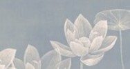 Élégance florale sur fond bleu