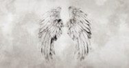 Élégance symétrique en plumes grises