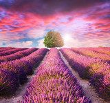 Explosion de couleurs au crépuscule