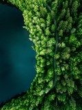 Forêt et lac vus du ciel