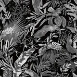 Forêt Tropicale en Monochrome