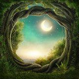 Portail magique vers la nuit étoilée