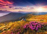 Rayons flamboyants sur montagnes sauvages