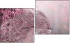 Diptych