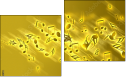 Diptych