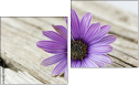 Diptych