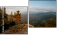 Diptych