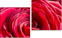 Diptych