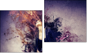 Diptych