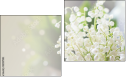 Diptych