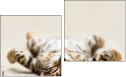 Diptych