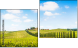 Diptych