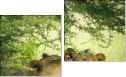 Diptych