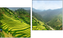 Diptych