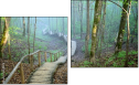 Diptych