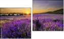 Diptych