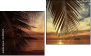 Diptych