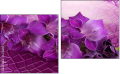 Diptych