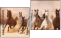 Diptych