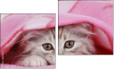 Diptych