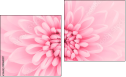 Diptych