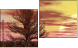 Diptych
