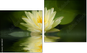 Diptych