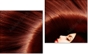 Diptych