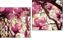 Diptych