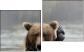 Diptych