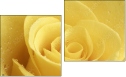 Diptych