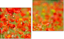 Diptych