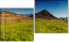 Diptych