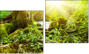 Diptych