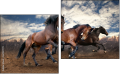 Diptych