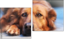 Diptych