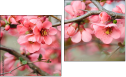 Diptych