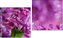 Diptych